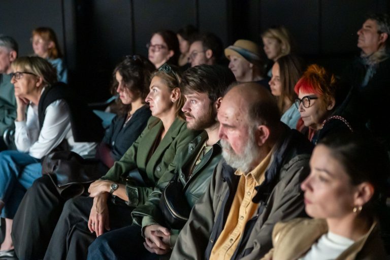 VH-MESS 2026 Masina za sabiranje (15)